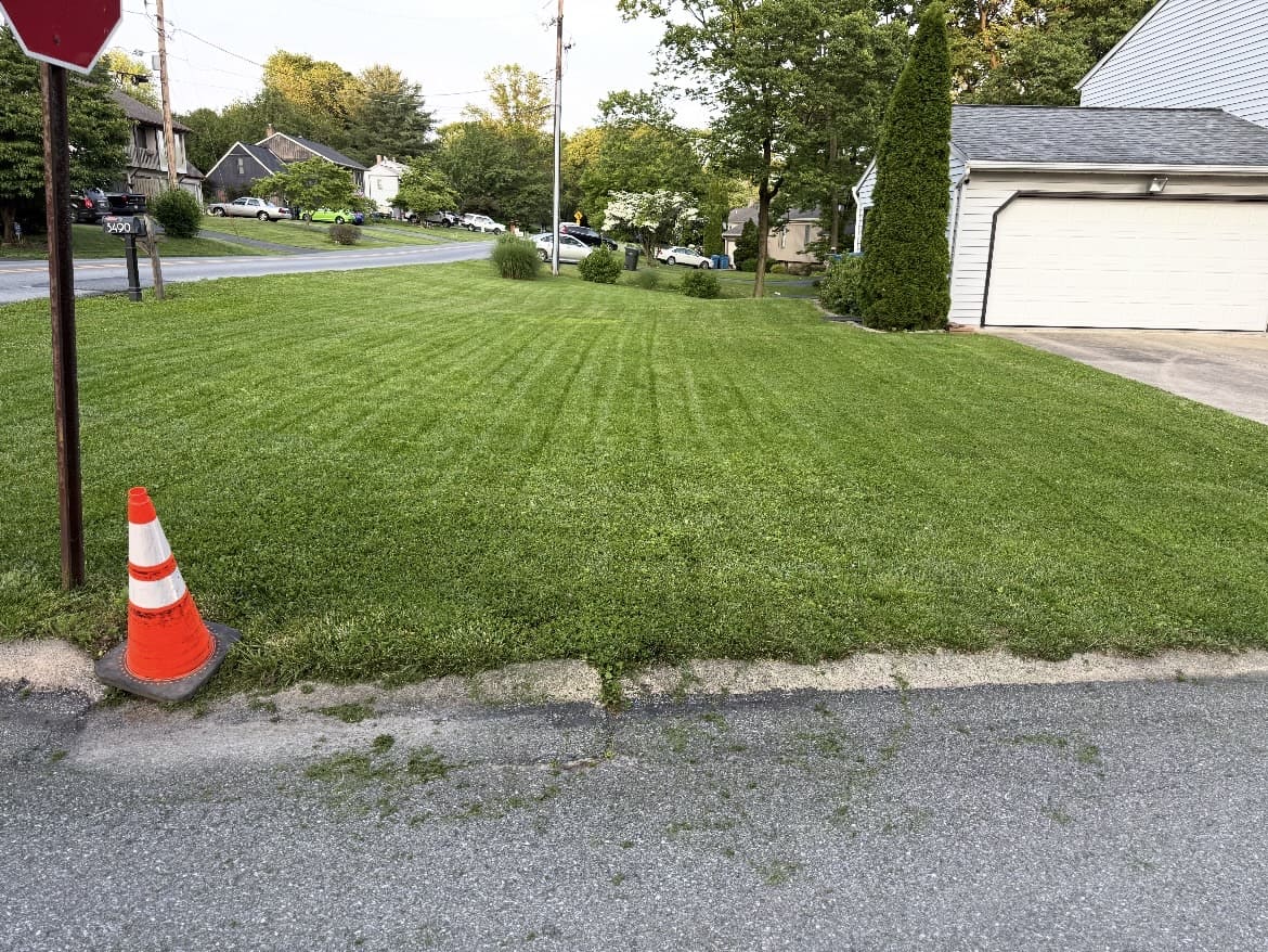 Mowed front lawn beside a driveway and sidewalk