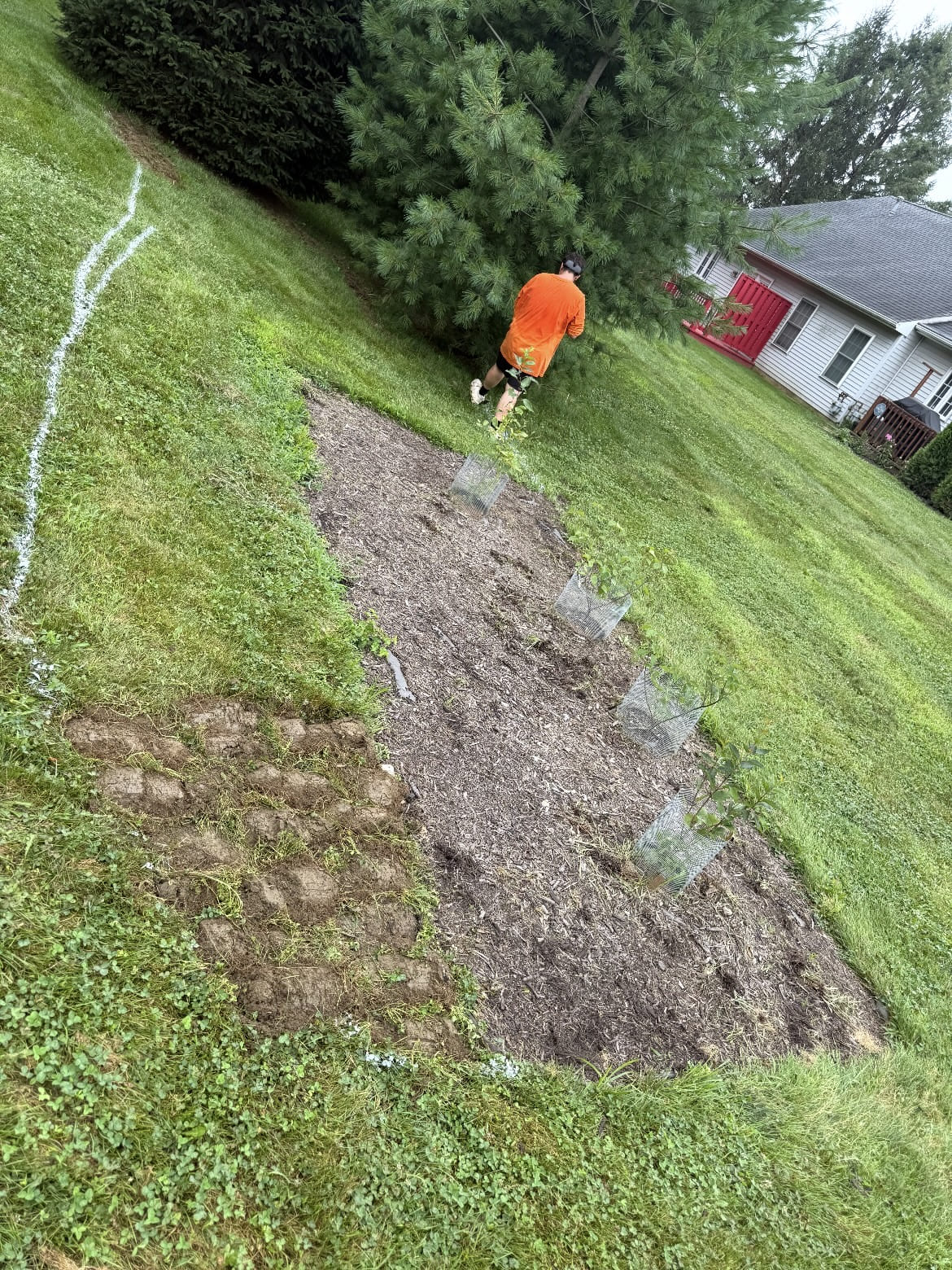 Garden bed work beside a green lawn and trees