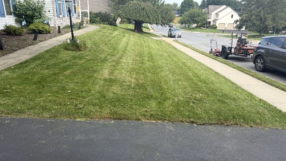 Property Maintenance service