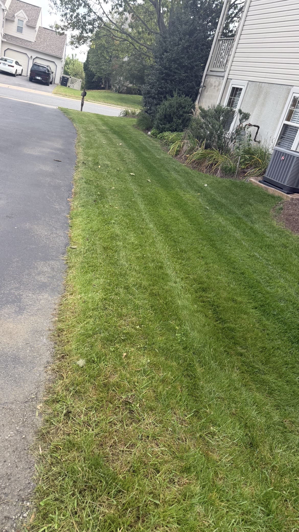 Long strip of mowed grass beside a residential building