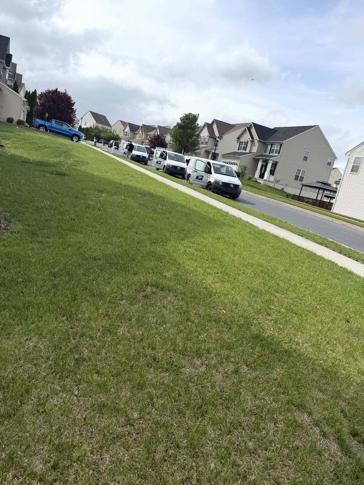 Front lawn beside a residential street
