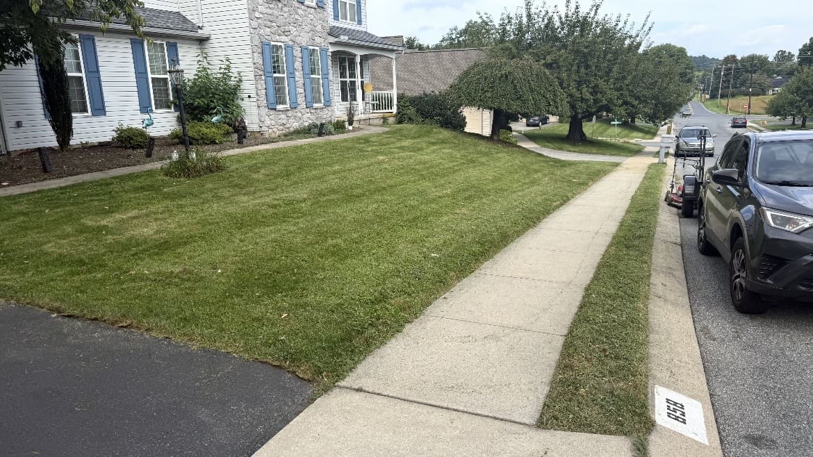 Neatly cut lawn between a house and sidewalk