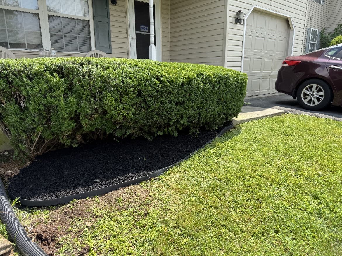Trimmed hedge with a mulched border by a front porch