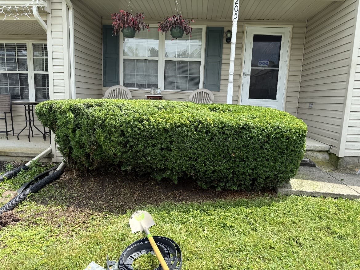 Trimming service