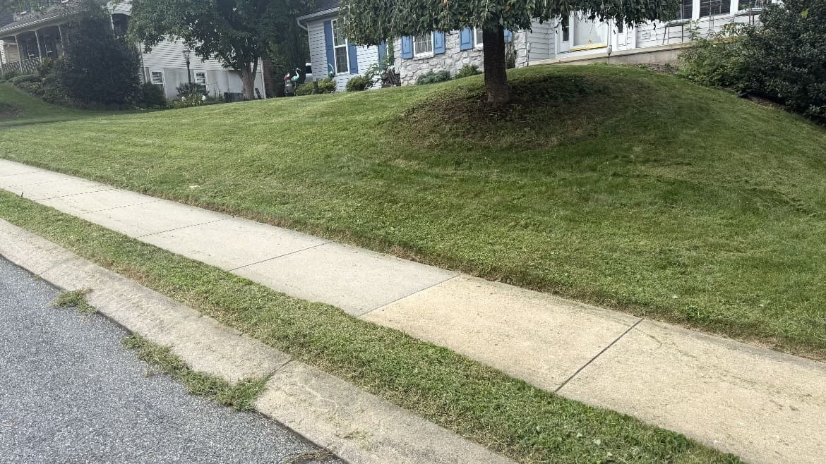 Mowed grass along a sidewalk and tree-covered slope