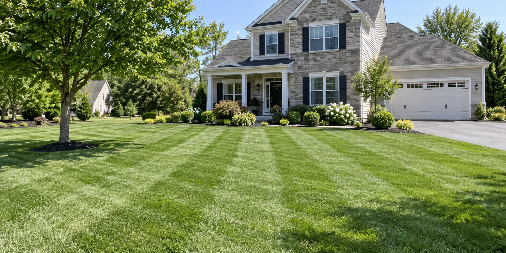 Lawn Mowing service